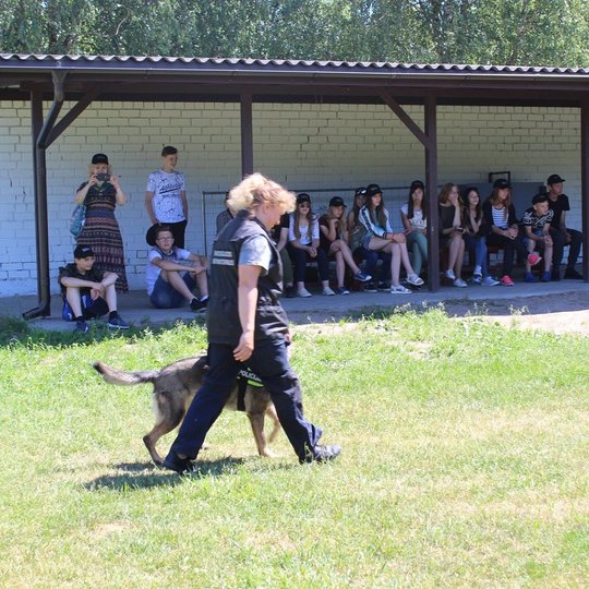 Iliustracija