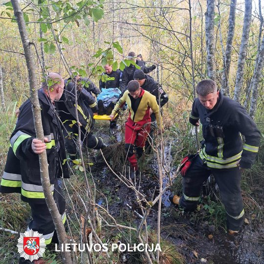 Iliustracija